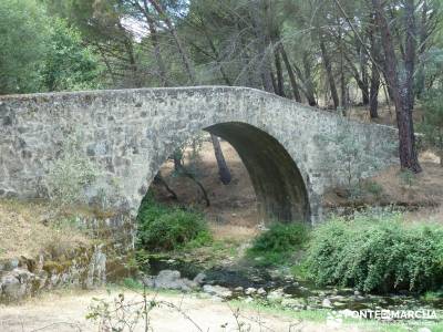 Paseo y Baño por el Valle y Río Tiétar;bosque en madrid toledo rutas ruta senderismo